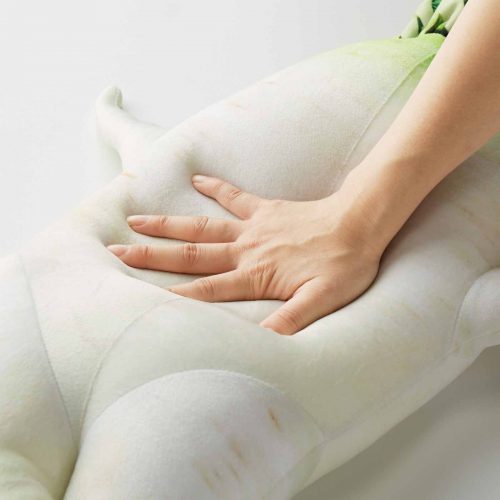 You+More Mini Daikon Radish Pillow