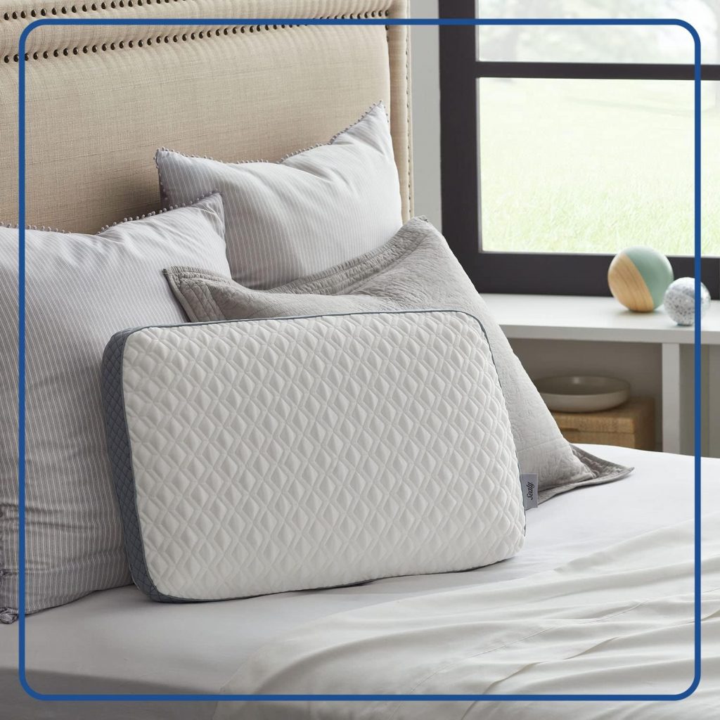 Sealy Molded Bed Pillow for Pressure Relief｜US